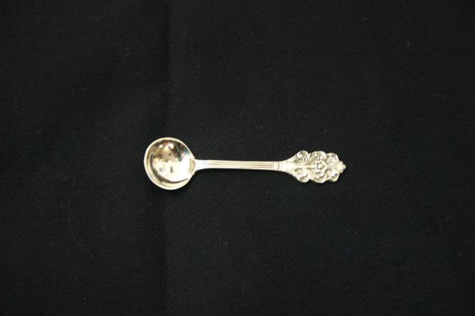 Hovedbilde Viking rose saltskje