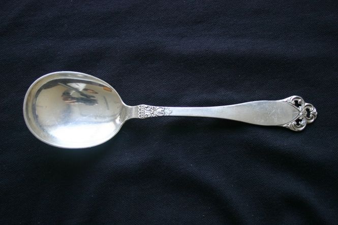 Hovedbilde Laila anretningsskje